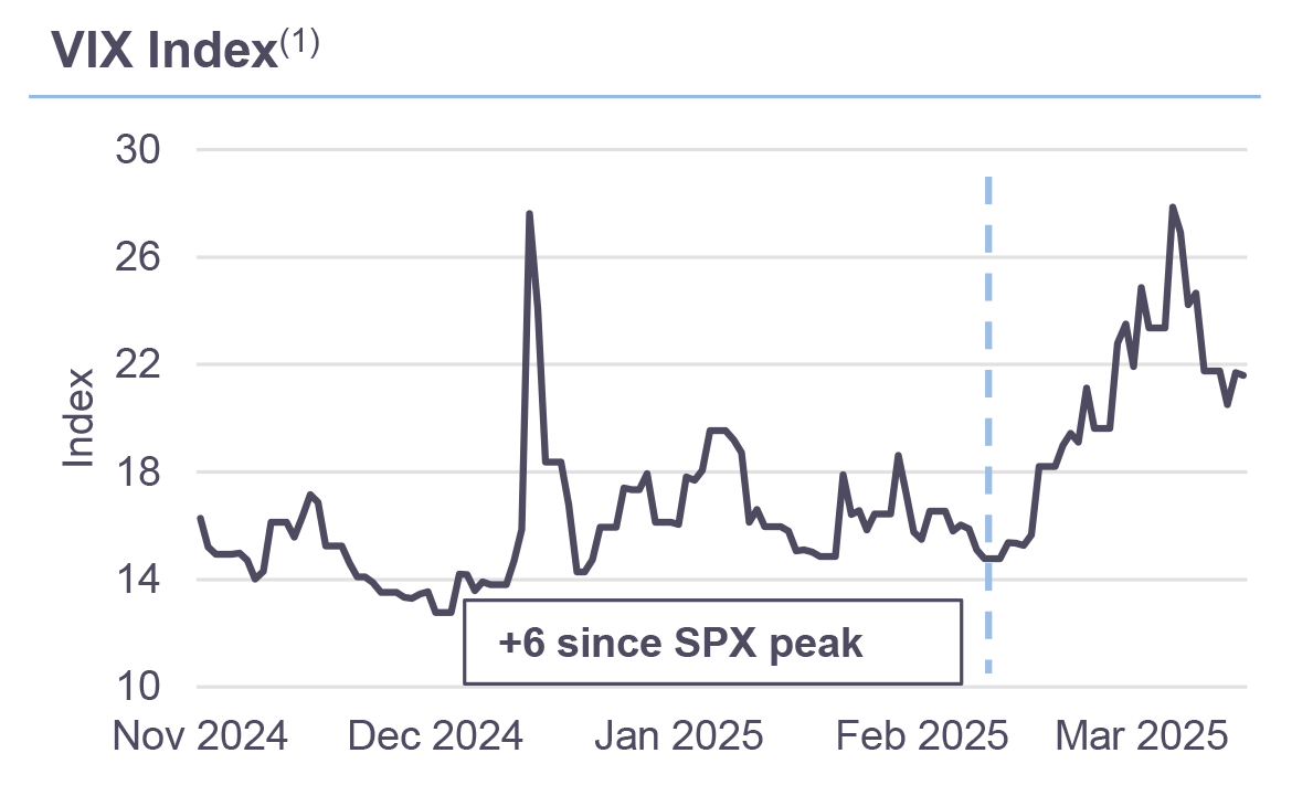 VIX Index